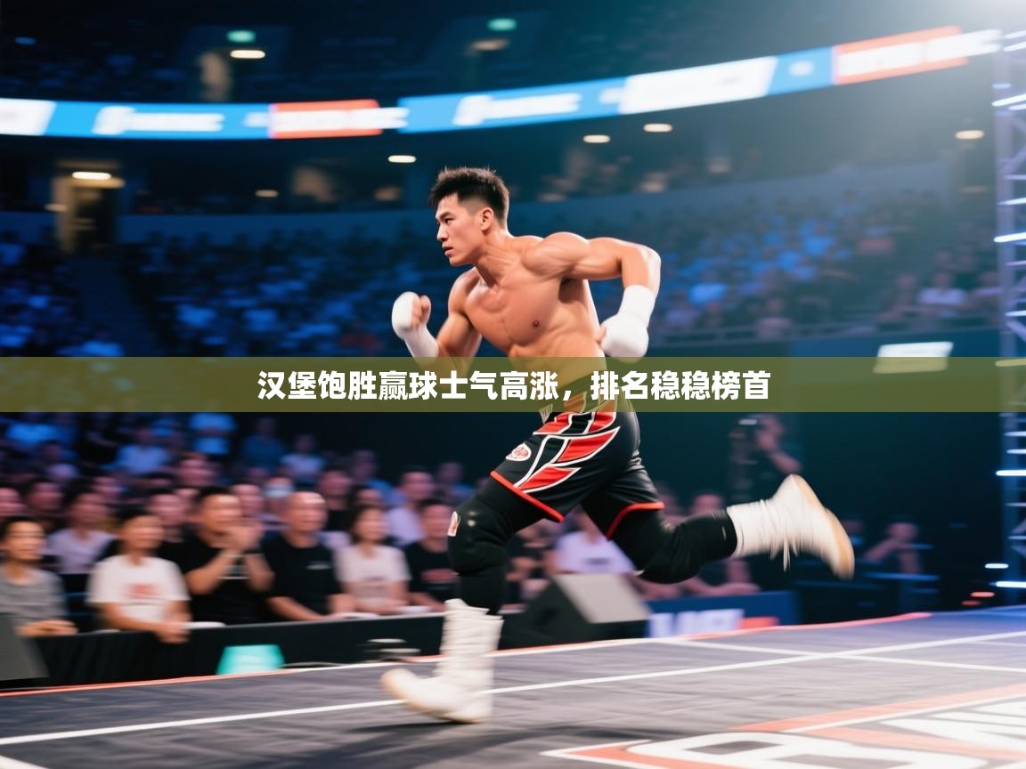 汉堡饱胜赢球士气高涨,排名稳稳榜首 第1张